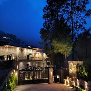 Orillia Kasauli