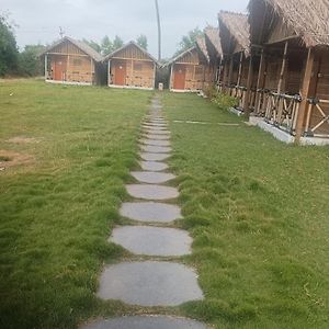 Coconut Tree Guest House